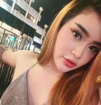 Dream ladyboy thailand69 - Transsexual escort in Abu Dhabi