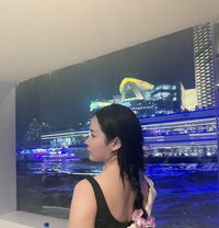 Dream - escort in Bangkok