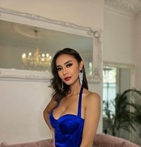 Dream - escort in London