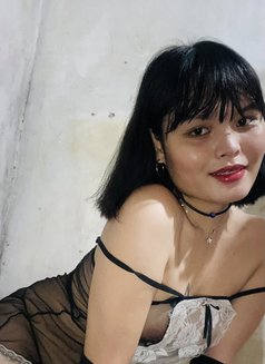 Dream Trans Girl - Transsexual escort in Manila Photo 3 of 11