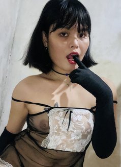 Dream Trans Girl - Transsexual escort in Manila Photo 11 of 11