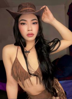 Dreamiest Ladyboy Experience - Transsexual escort in Angeles City Photo 15 of 26