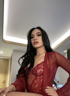 Dreamiest Ladyboy Experience - Transsexual escort in Angeles City Photo 16 of 17