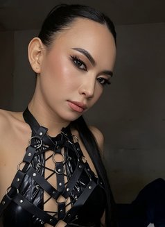 Dreamiest Ladyboy Experience - Transsexual escort in Angeles City Photo 21 of 26