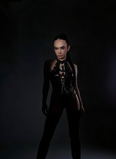 Dreamiest Ladyboy Experience - Transsexual escort in Angeles City Photo 22 of 26