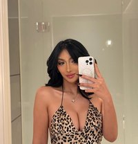 Dressrosa - escort agency in Macao