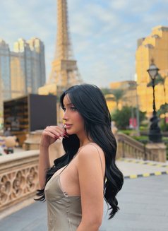 Dressrosa - escort agency in Macao Photo 25 of 27