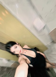 Dua - Acompañantes transexual in New Delhi Photo 1 of 6