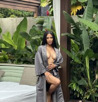 Premium quality New here - escort in Dubai