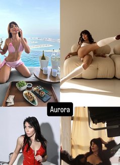 Dubai Charms - escort agency in Dubai Photo 7 of 30