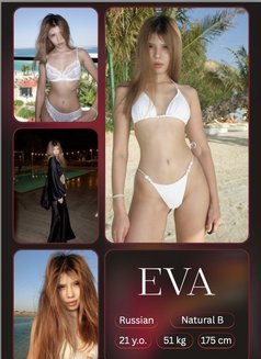 Dubai Charms - escort agency in Dubai Photo 20 of 22