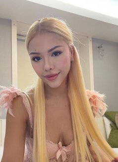 New Brazil Nicole - escort in Seoul Photo 7 of 16