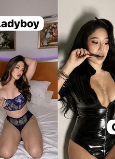 Duo PUSSY Real woman & shemale attack - escort in Kuala Lumpur Photo 8 of 8