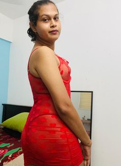 Dushee - Acompañantes transexual in Colombo Photo 5 of 5