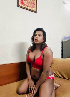 Dusky Active Shemale - Transsexual escort in Chennai Photo 9 of 11