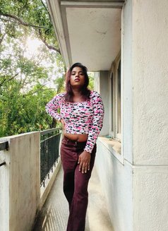 Dusky Hot Shemale - Transsexual escort in Bangalore Photo 5 of 7