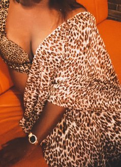 Dusky Malliga - Transsexual escort in Coimbatore Photo 2 of 12