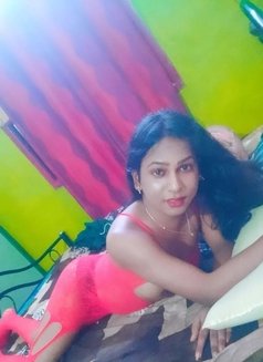 Dusky Shemale 24 - Transsexual escort in Chennai Photo 2 of 2