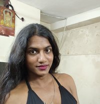 Dusky Shemale Jks Karthika - Transsexual escort in Chennai