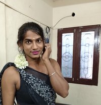 Dusky Shemale Top Jks - Transsexual escort in Chennai