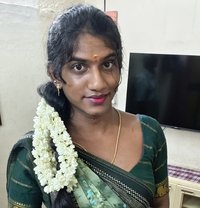 Dusky Shemale Top Jks - Transsexual escort in Chennai