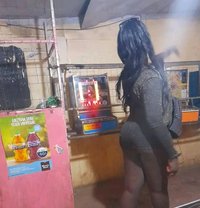Dutchess - Transsexual escort in Mombasa