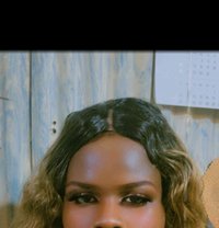 Dutchess - Transsexual escort in Mombasa