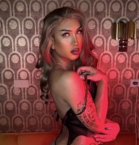 Dutchfemme - Transsexual escort in Amsterdam