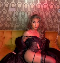 Dutchfemme - Transsexual escort in Amsterdam