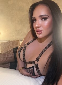 EatMyBigBrownCock69 - Transsexual escort in Adelaide Photo 16 of 19