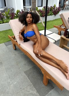 🇹🇿EBONEY.DICK 🇹🇿 - Transsexual escort in Bali Photo 28 of 29