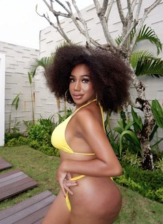 🇹🇿EBONEY.DICK 🇹🇿 - Transsexual escort in Bali Photo 6 of 30