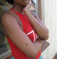 Ebony Caramel Skyy - escort in Dublin