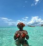 Ebony Starr - puta in New Delhi Photo 1 of 6