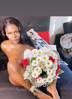 Ebonycaramel - Acompañantes transexual in Madrid Photo 5 of 9