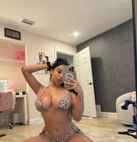 Ec Donna - escort in Tokyo