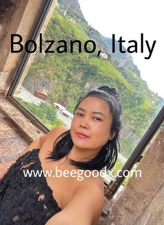 Edging milking guaranteed 2-4 shots - escort in Dubai Photo 8 of 10