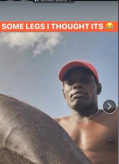 Ednut - Male escort in Mission, British Columbia Photo 2 of 5