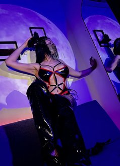 EHANi THE POPPER QUEEN - Acompañantes transexual in Muscat Photo 25 of 25
