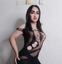 Einfahladyboy - Transsexual escort in Şalālah