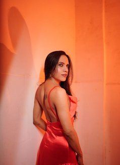 Eira Khan - Acompañantes transexual in Mumbai Photo 1 of 16