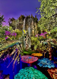 Ela - escort in Phuket Photo 8 of 15