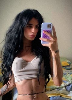 Élaa Zghb - Acompañantes transexual in Beirut Photo 5 of 5