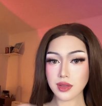 Elara GFE Camshow - Transsexual companion in Makati City