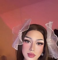 Elara GFE Camshow - Transsexual companion in Makati City