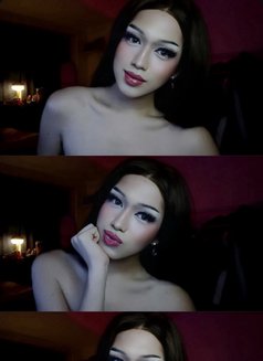 Elara GFE Camshow - Transsexual companion in Makati City Photo 3 of 7