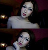 Elara GFE Camshow - Transsexual companion in Makati City