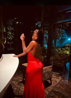 Elegance and Finesse - escort in Amman Photo 4 of 5