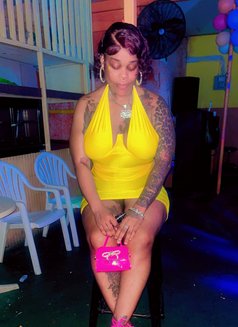 Elegant Toya - adult performer in Barbados Photo 1 of 3