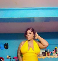 Elegant Toya - Intérprete de adultos in Barbados